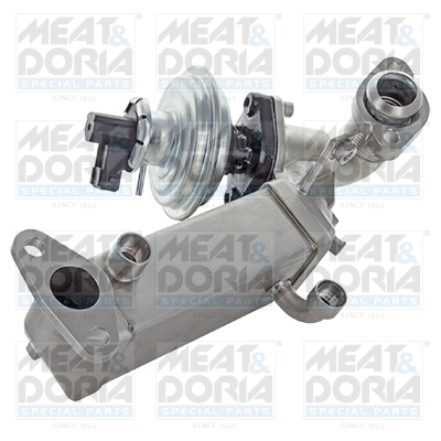 EGR Module
